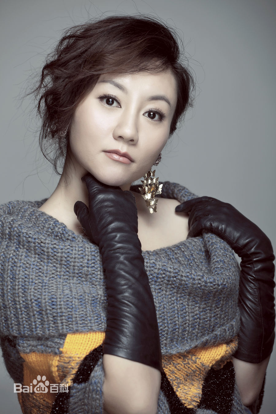 王晴精选集图册