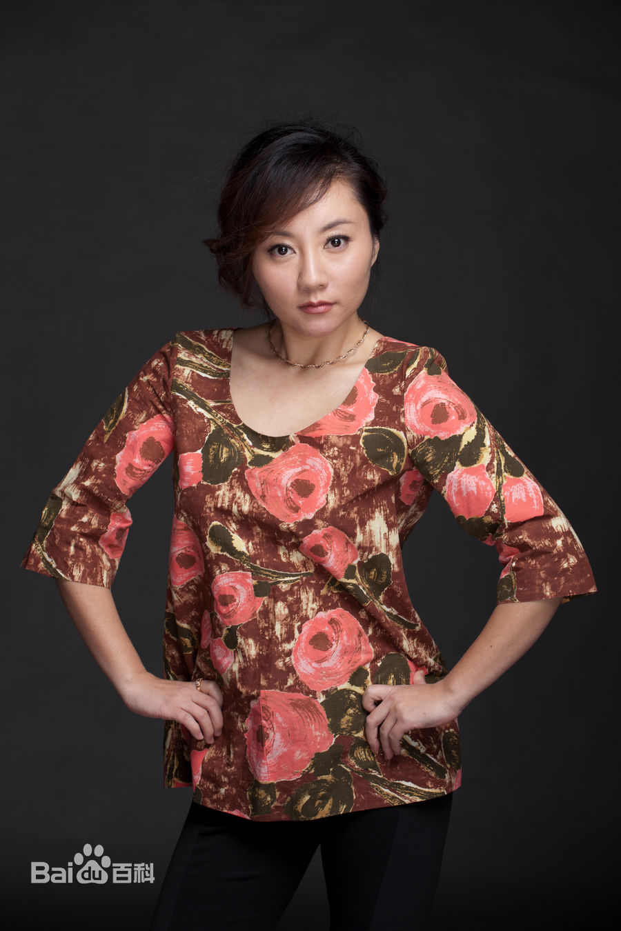 王晴精选集图册