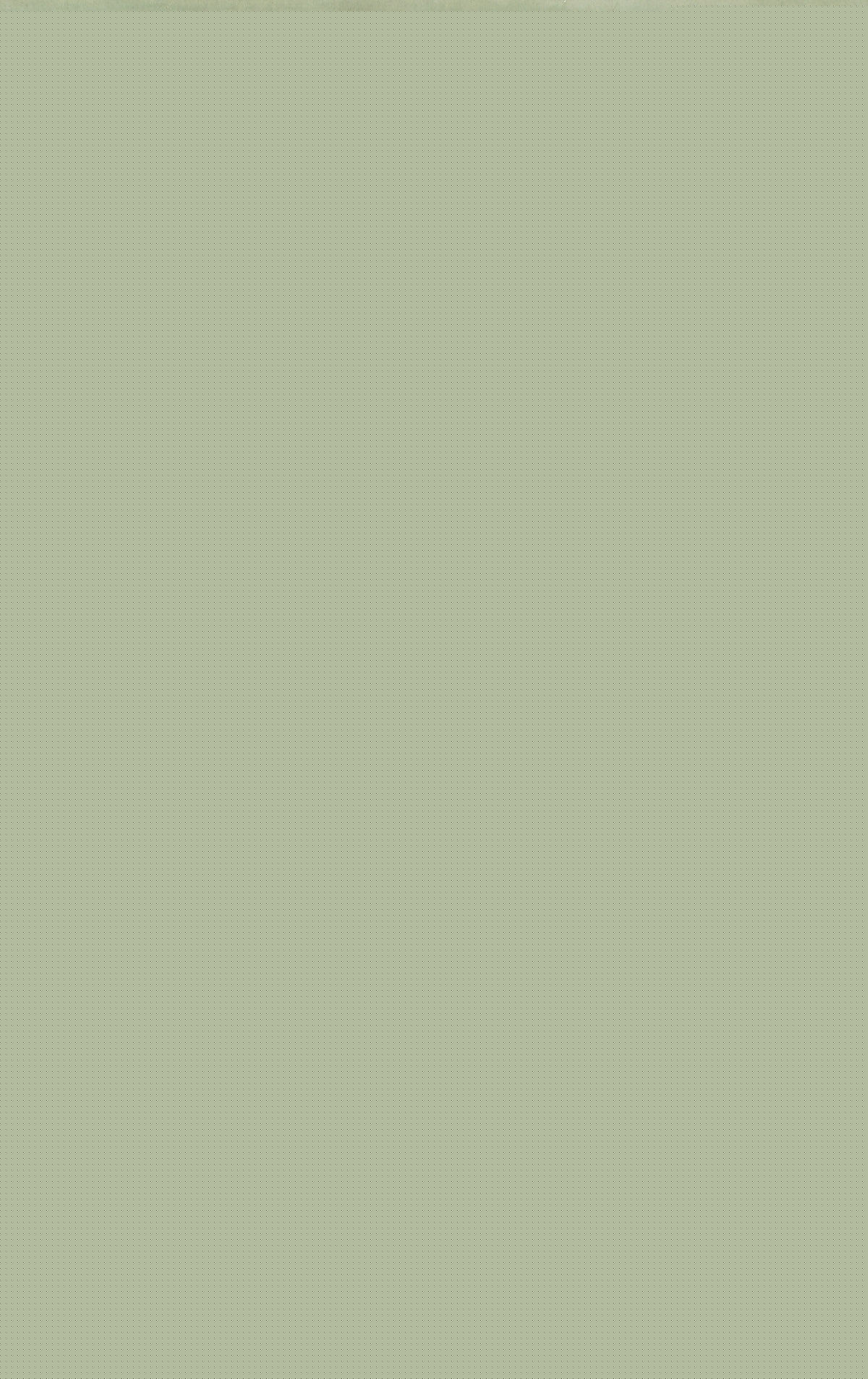 王永利工笔人物作品前后照片