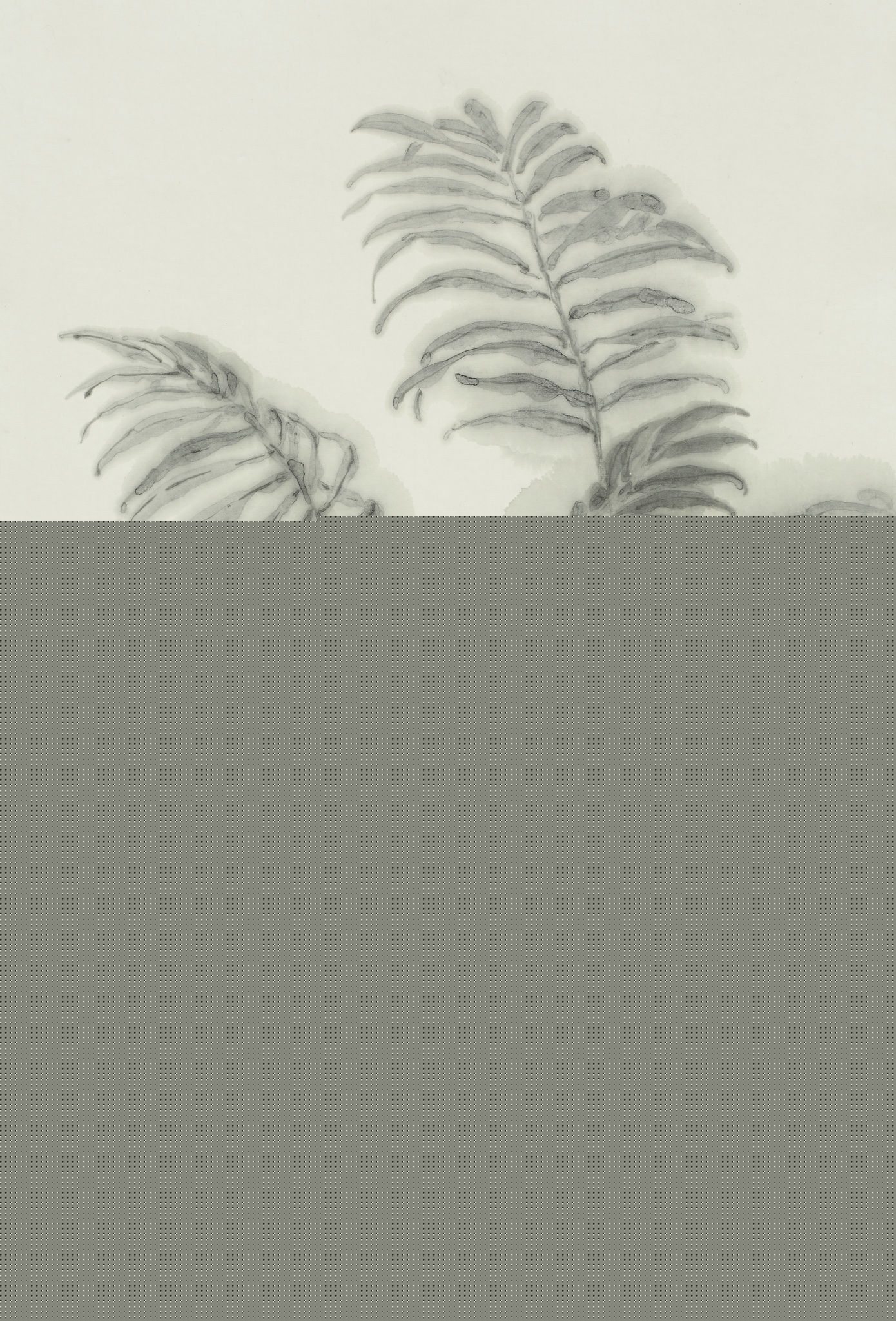 王永利水墨花鸟作品壁纸壁纸