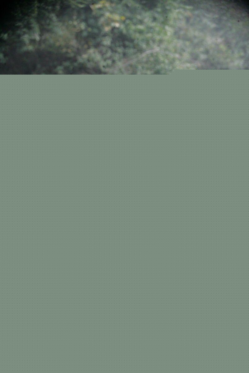 最新杨念生性感图片