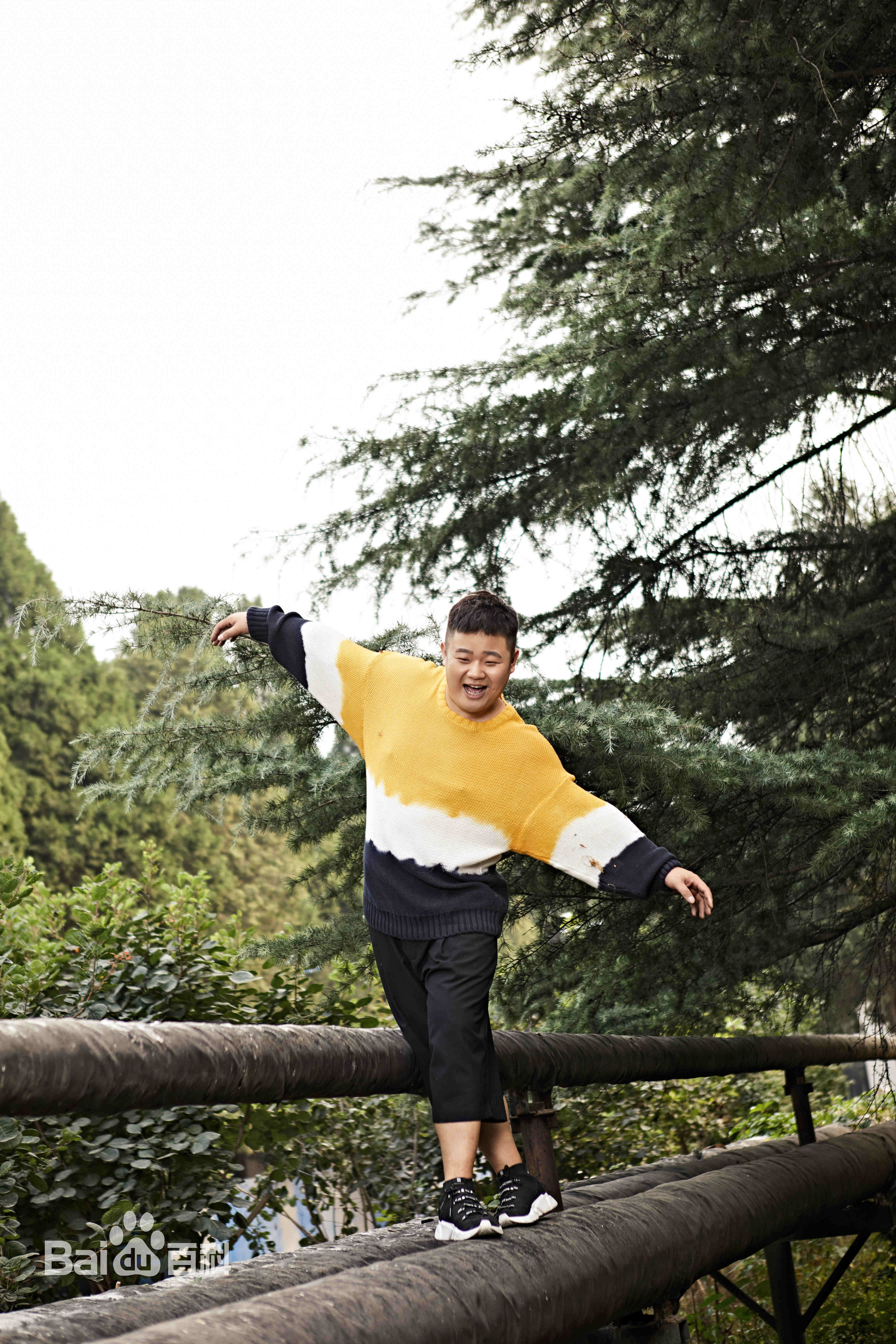 柏智杰高清图册