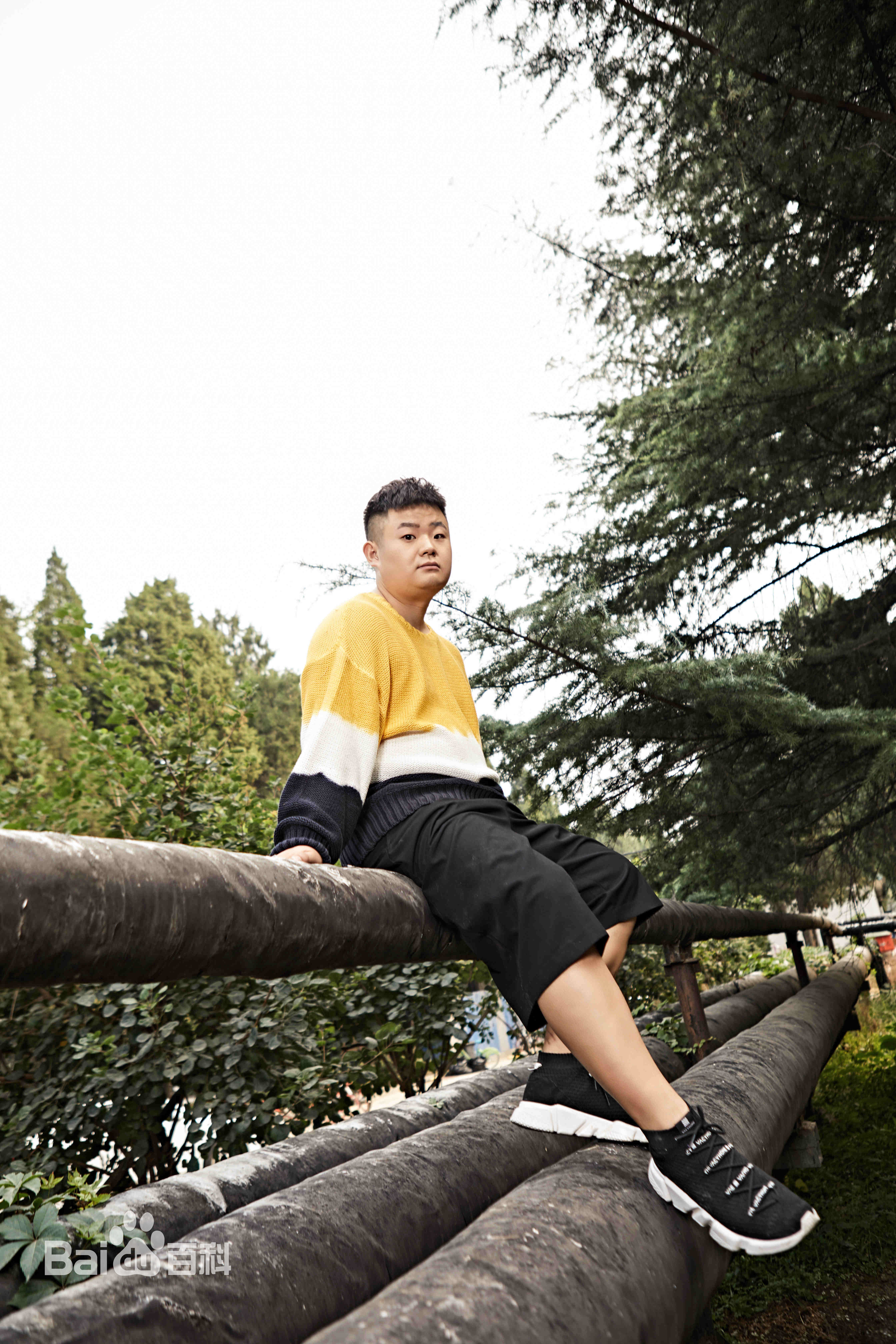 柏智杰高清图册