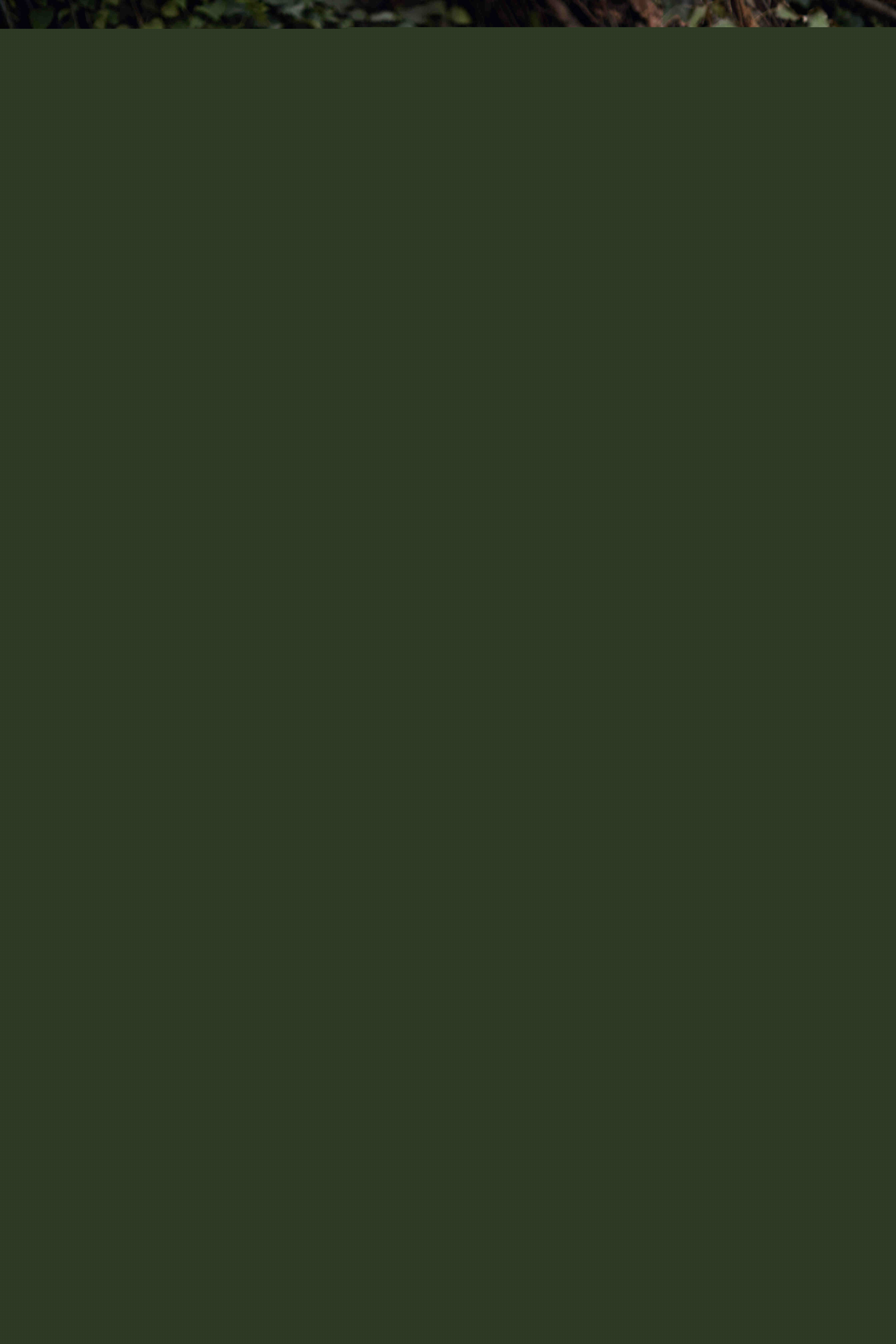 柏智杰高清图册