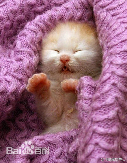 高清罗兰·艾默里奇(Roland Emmerich)图片