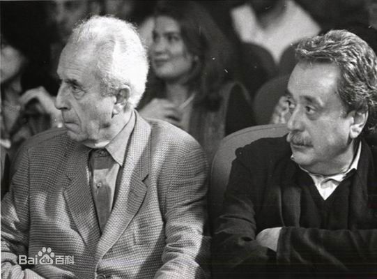 最优质米开朗基罗·安东尼奥尼(Michelangelo Antonioni)精彩图册