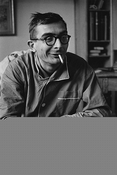 克劳德·夏布洛尔(Claude Chabrol)前后照片