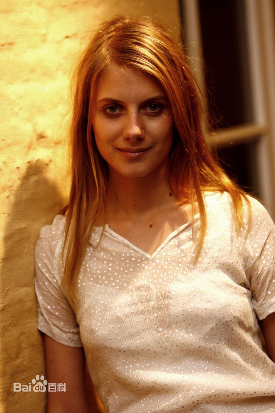 高清梅拉尼·罗兰(Mélanie Laurent)精彩图册