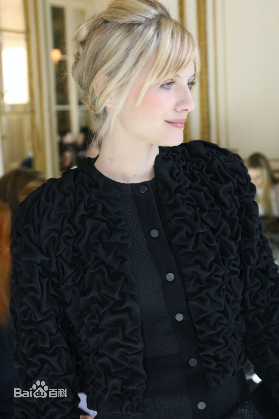 精选梅拉尼·罗兰(Mélanie Laurent)精彩图册