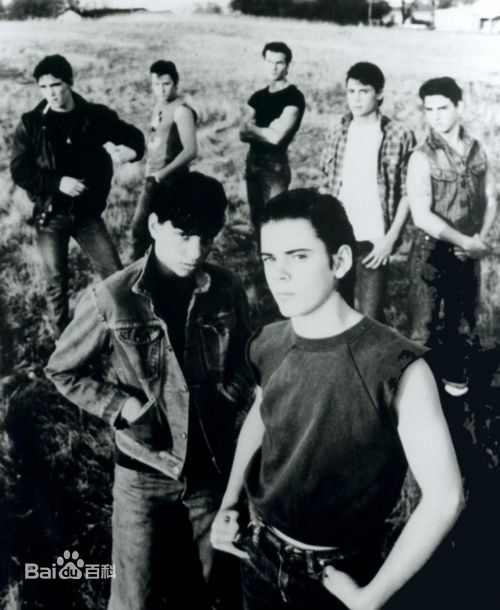 最优质马特·狄龙(Matt Dillon)精彩图册