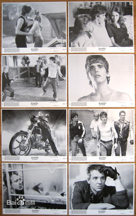 最优质马特·狄龙(Matt Dillon)精彩图册