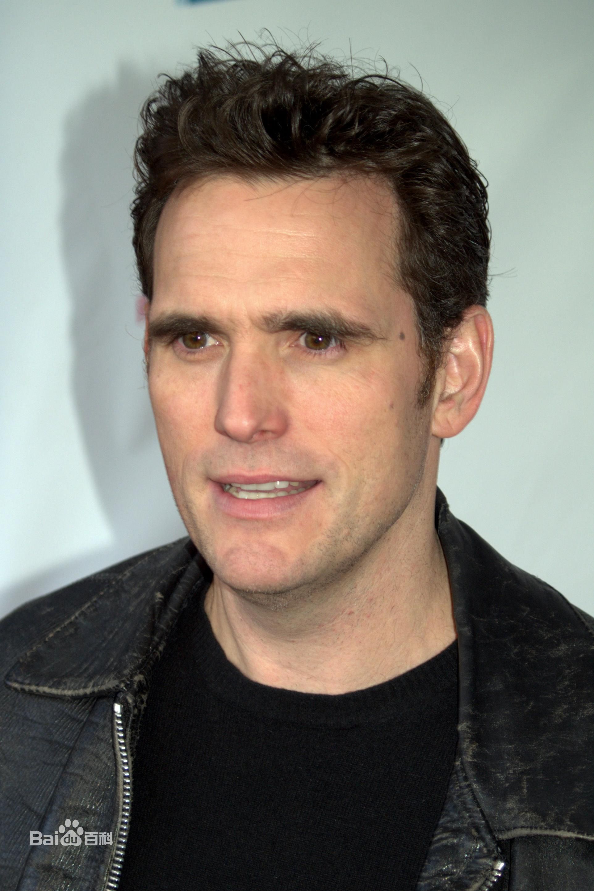 精选马特·狄龙(Matt Dillon)精彩图册