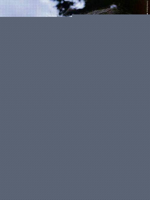 最优质奥黛丽·塔图(Audrey Tautou)素颜照