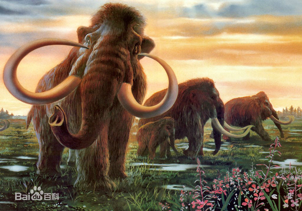 最优质伊莎贝尔·雅斯敏·阿佳妮(Isabelle Yaine Adjani)生活照