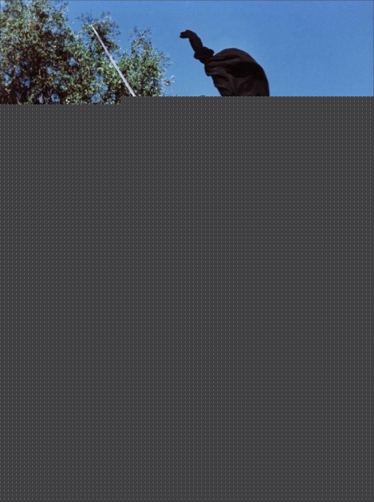 阿兰·德龙(Alain Delon)影视剧照