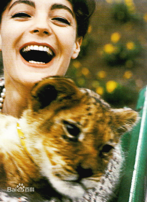 精选罗密·施奈德(Romy Schneider)