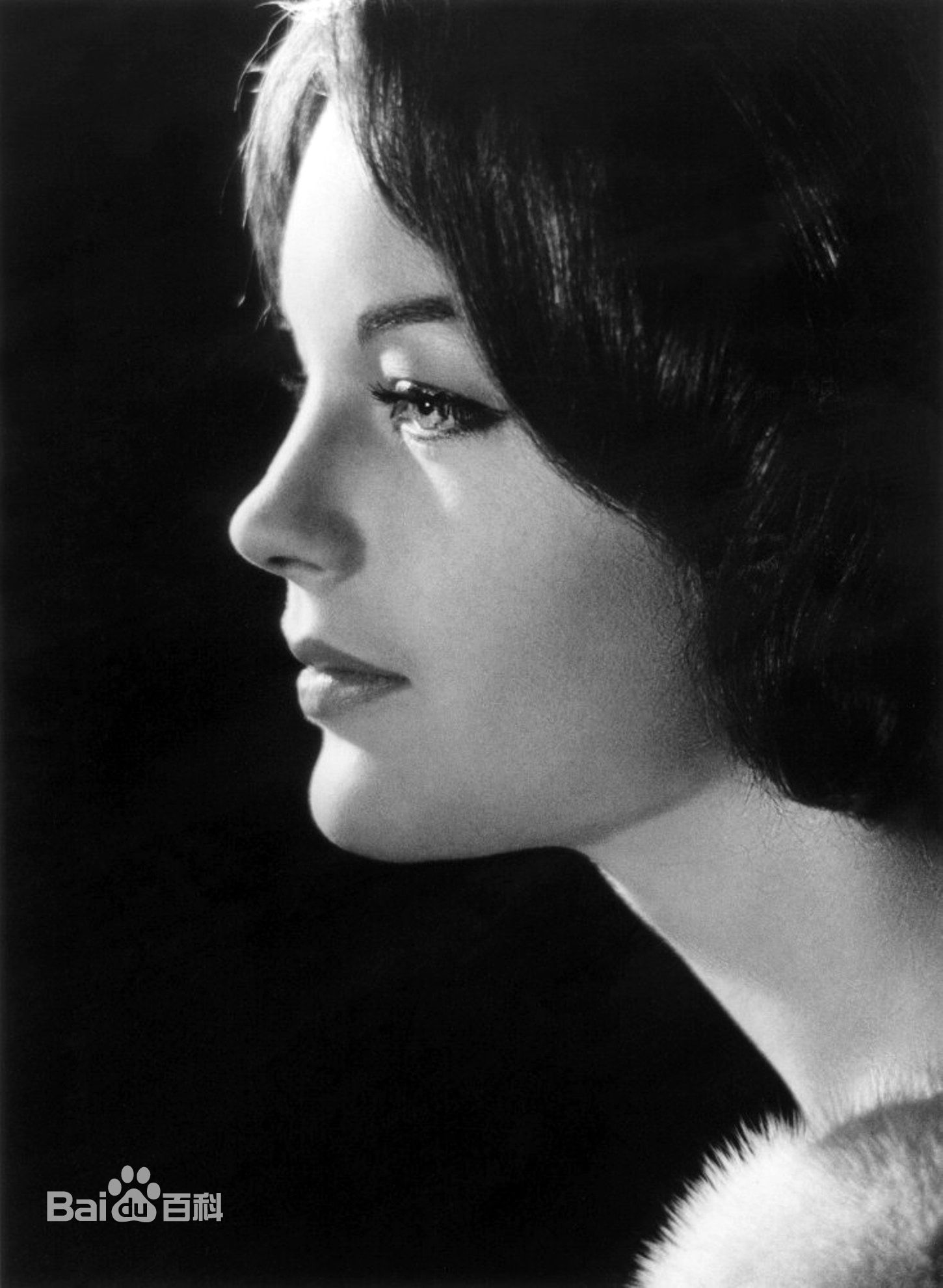 精选罗密·施奈德(Romy Schneider)