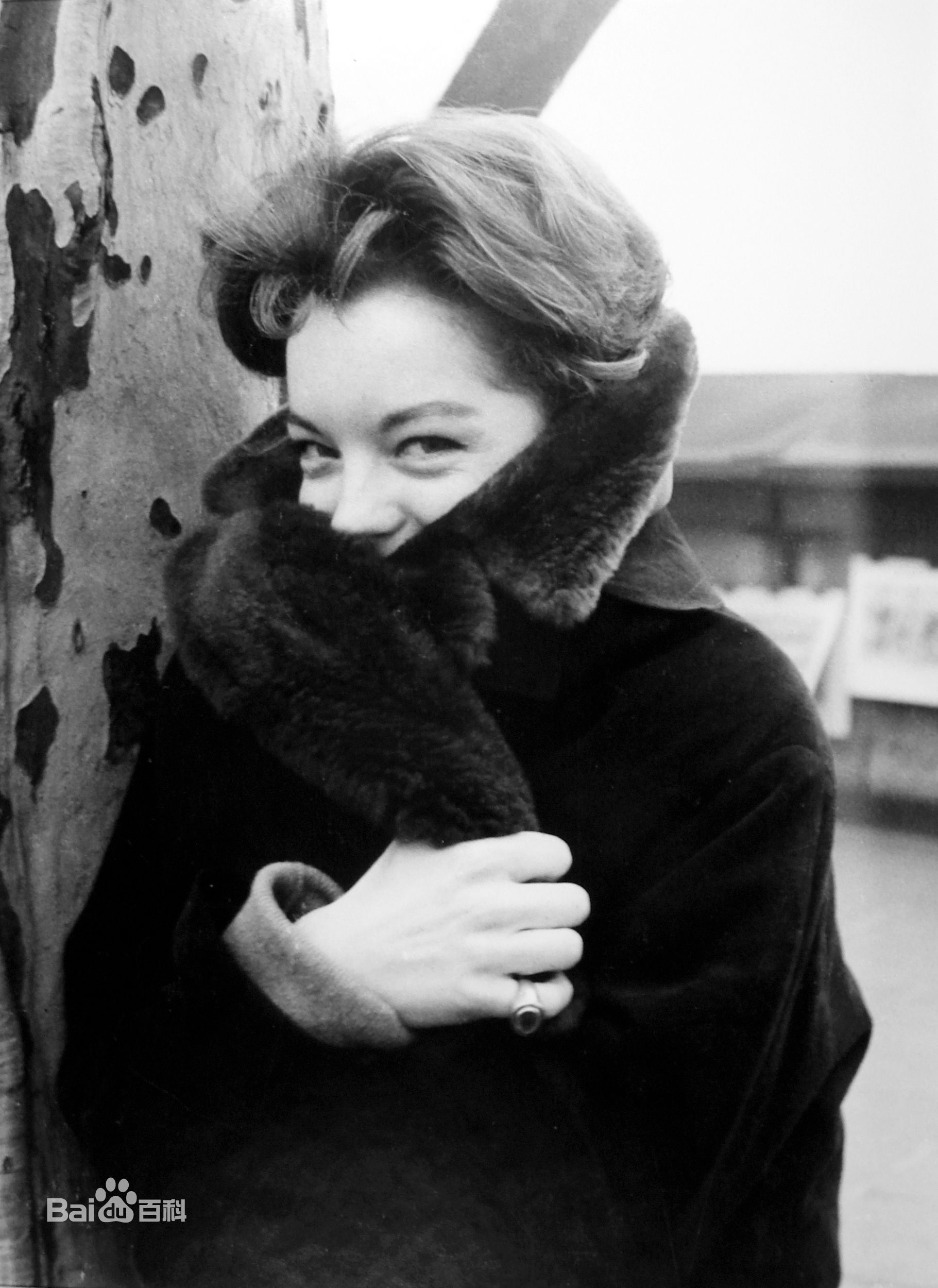 精选罗密·施奈德(Romy Schneider)