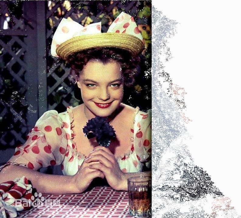 罗密·施奈德(Romy Schneider)与阿兰·德龙素颜照相册