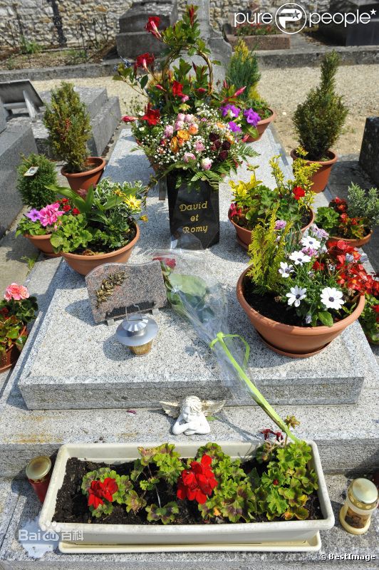 罗密·施奈德(Romy Schneider)与阿兰·德龙前后照片