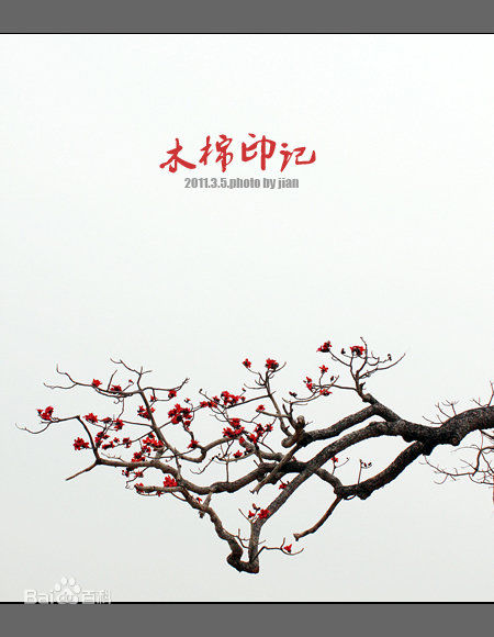 最全吴朋奉(Wu Pong Fong)素颜照