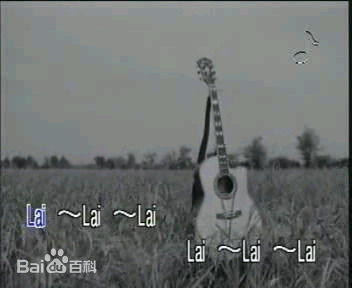 张真MV截图素颜照相册