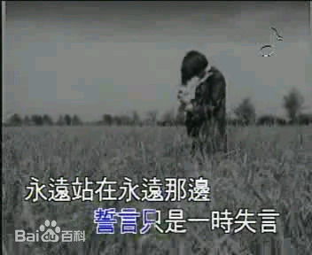 张真MV截图素颜照相册