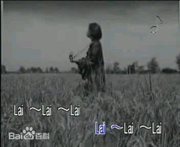 张真MV截图素颜照相册