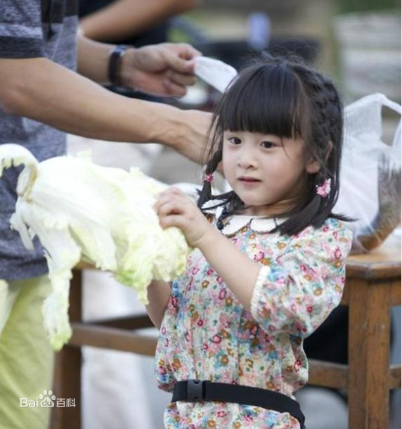 田雨橙(Cindy)可爱的森碟壁纸壁纸