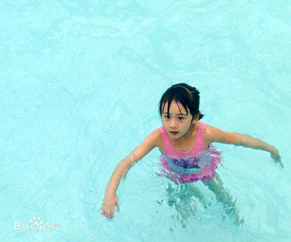 田雨橙(Cindy)可爱的森碟壁纸壁纸