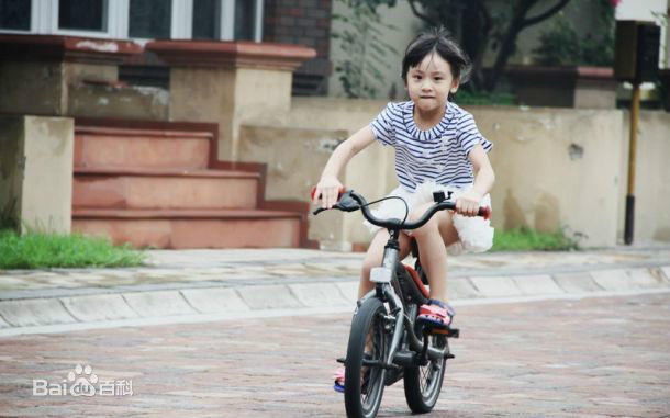 田雨橙(Cindy)可爱的森碟壁纸壁纸