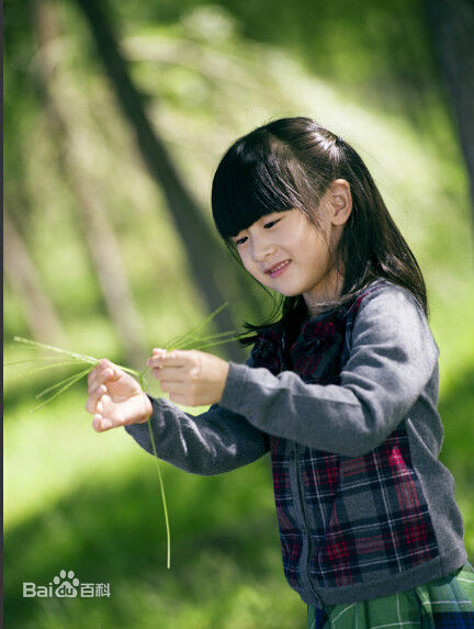 田雨橙(Cindy)可爱的森碟壁纸壁纸