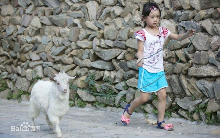 田雨橙(Cindy)遇见壁纸壁纸