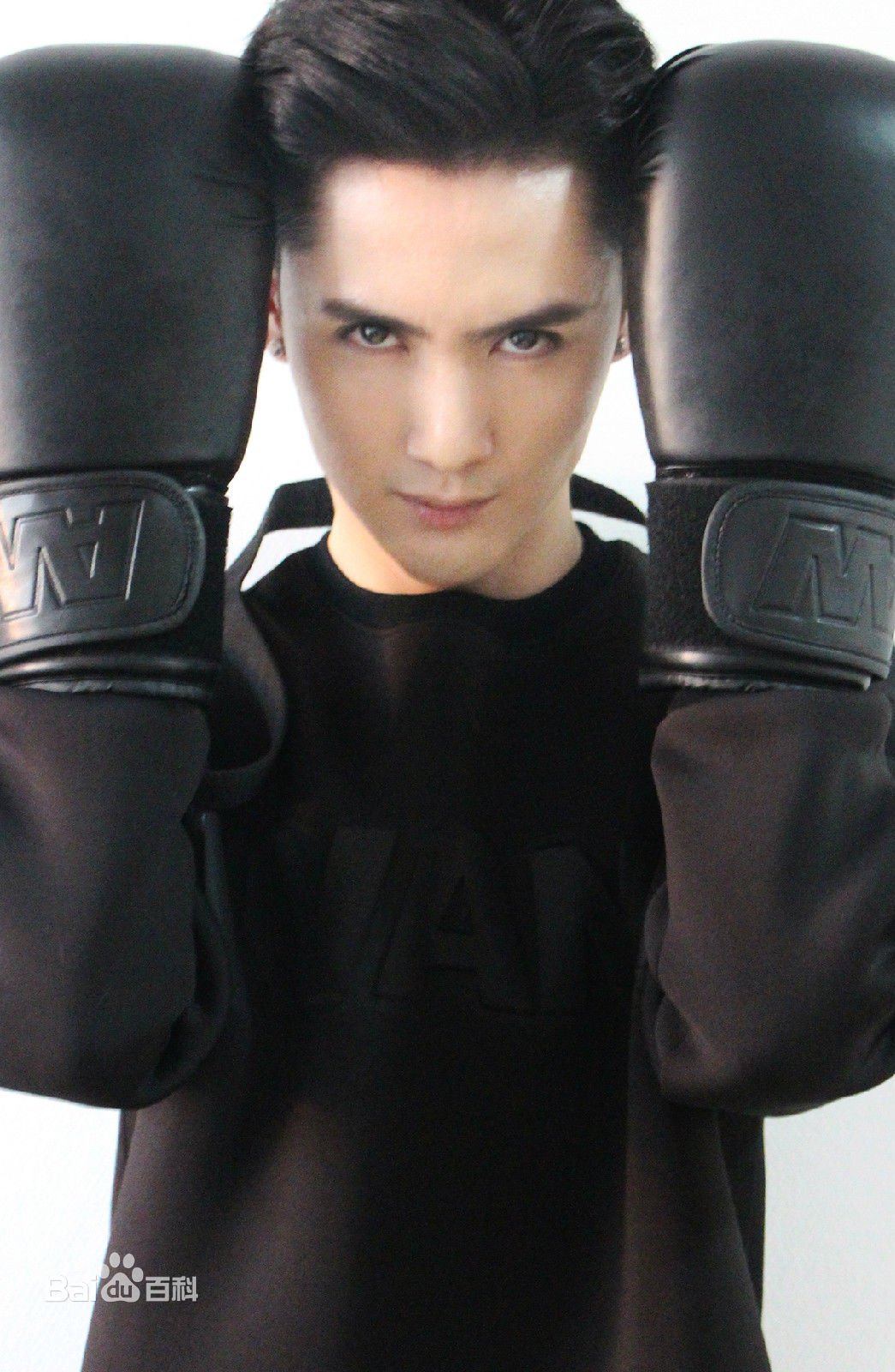 向鼎最优质 相册