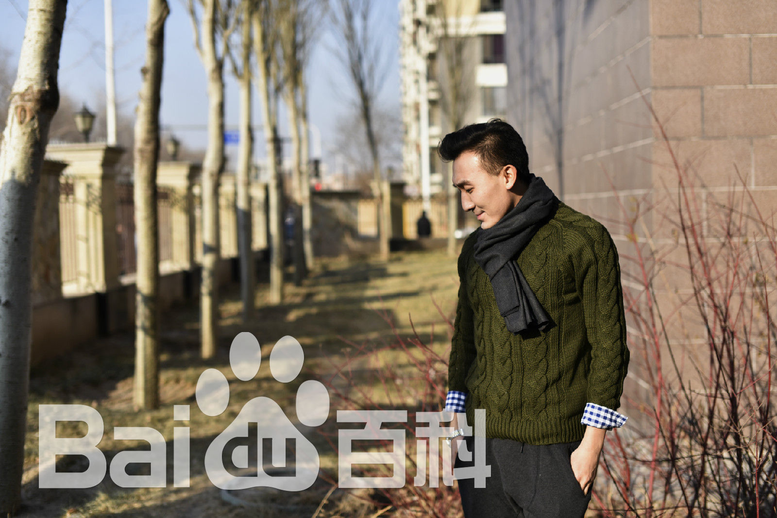 赵煊街拍壁纸壁纸