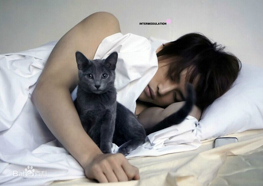 金在中(キム ジェジュン、Kim Jae Joong、Kim Jae Jung、JeJung、J-JUN)Intermodulation性感图片图集