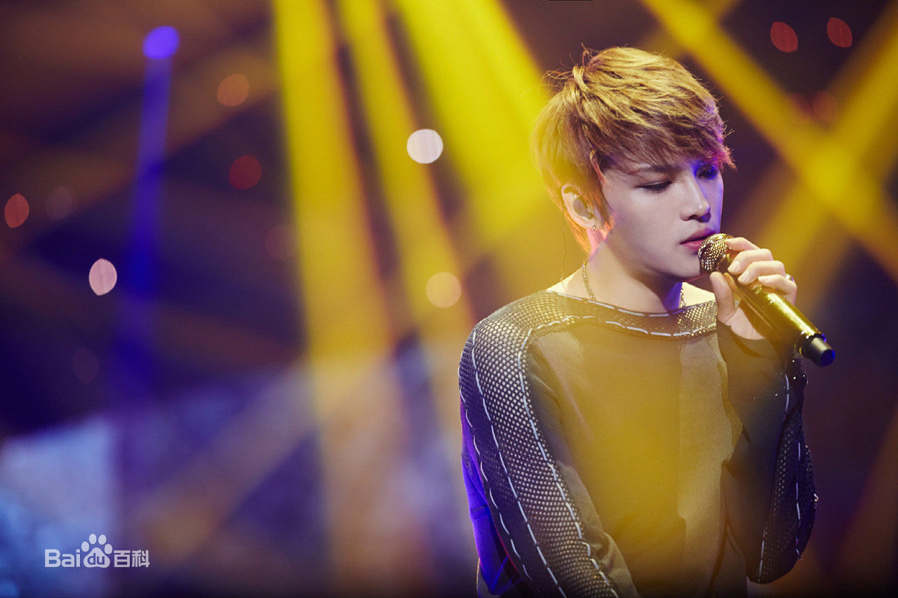 金在中(キム ジェジュン、Kim Jae Joong、Kim Jae Jung、JeJung、J-JUN)2015年演唱会壁纸壁纸