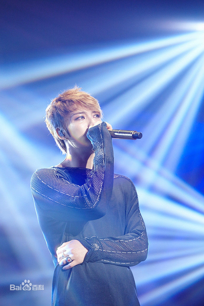 金在中(キム ジェジュン、Kim Jae Joong、Kim Jae Jung、JeJung、J-JUN)2015年演唱会壁纸壁纸