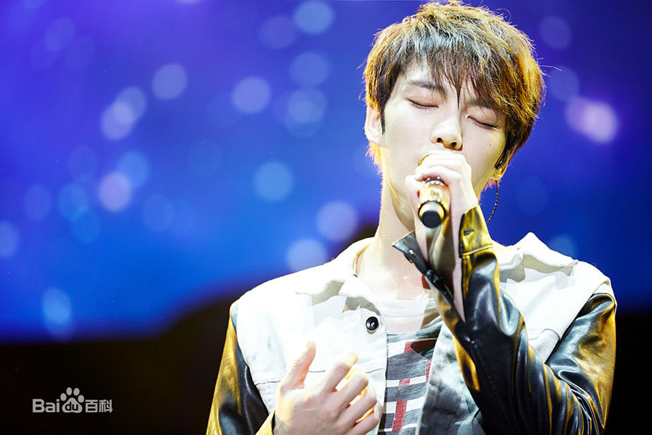 金在中(キム ジェジュン、Kim Jae Joong、Kim Jae Jung、JeJung、J-JUN)2015年演唱会壁纸壁纸