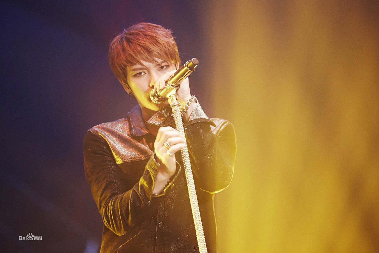 金在中(キム ジェジュン、Kim Jae Joong、Kim Jae Jung、JeJung、J-JUN)2015年演唱会壁纸壁纸