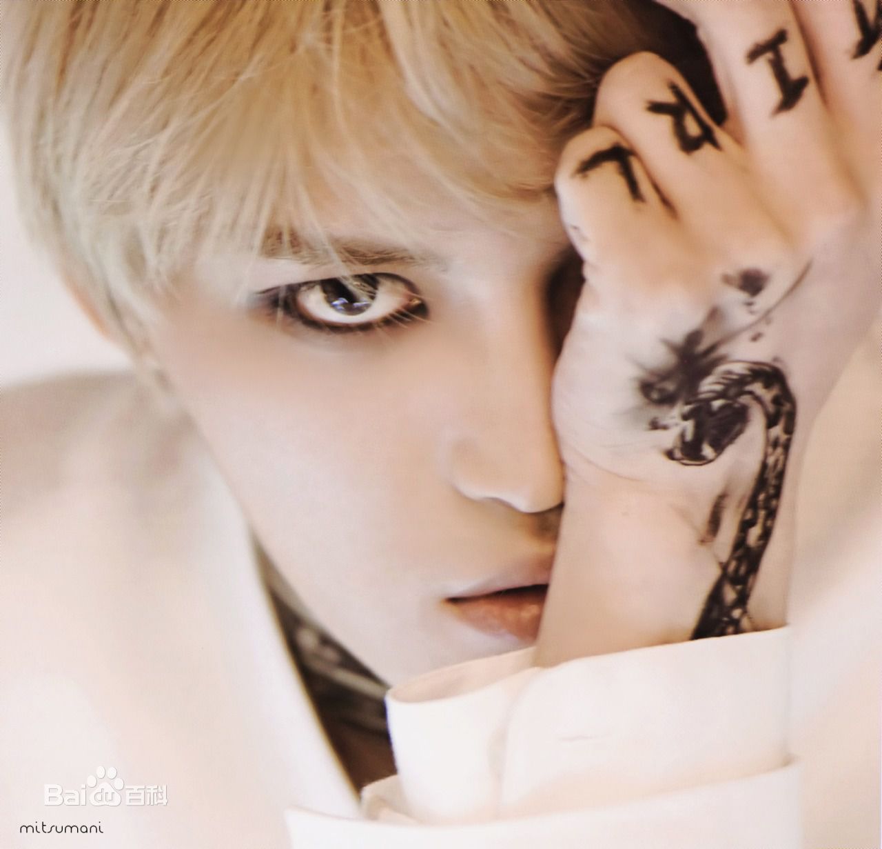 最优质金在中(キム ジェジュン、Kim Jae Joong、Kim Jae Jung、JeJung、J-JUN)在《WWW》中的相册