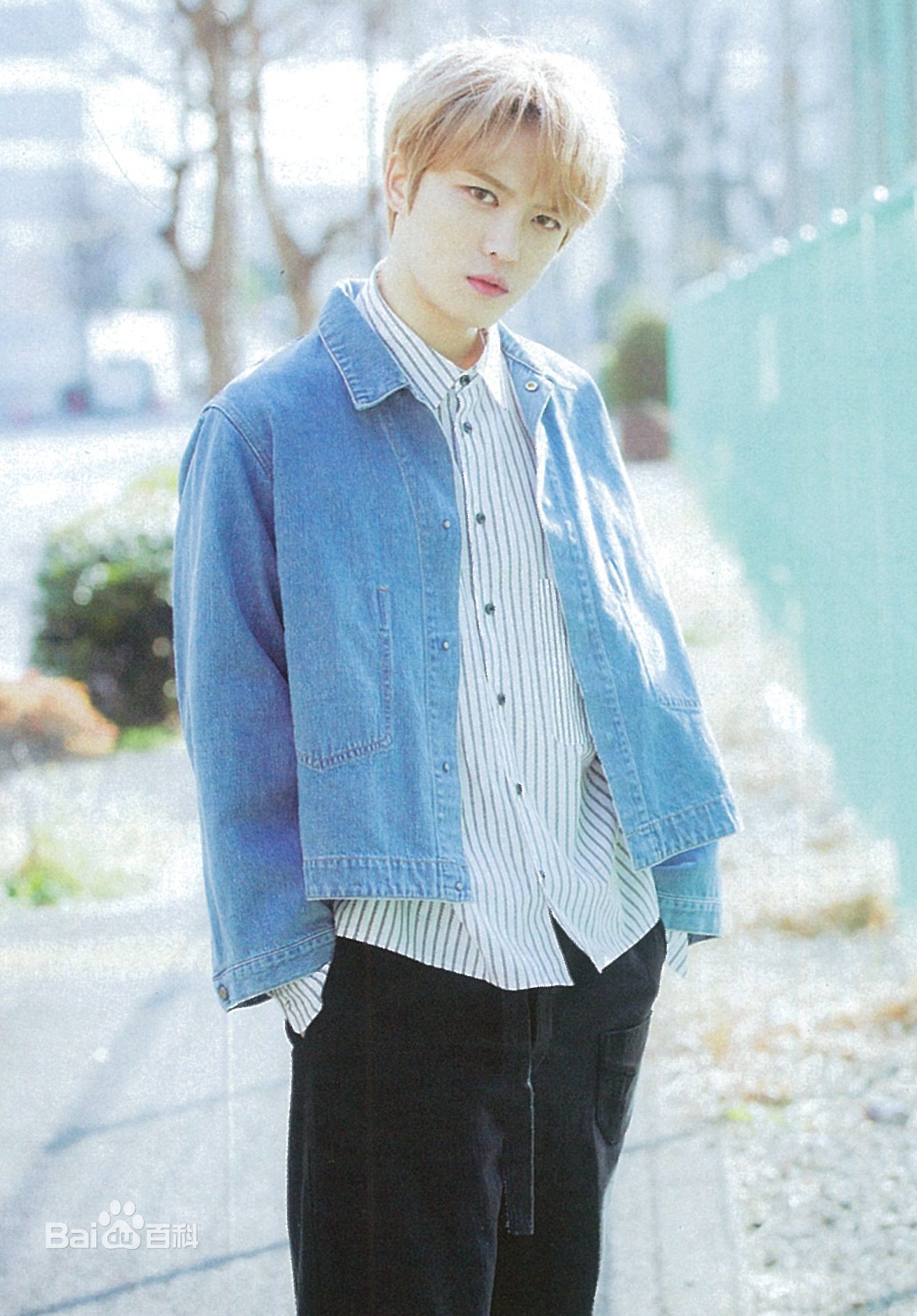 最新金在中(キム ジェジュン、Kim Jae Joong、Kim Jae Jung、JeJung、J-JUN)壁纸