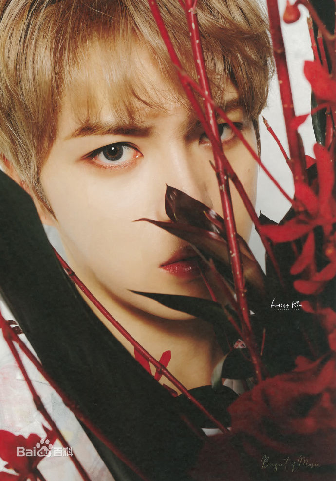 最新金在中(キム ジェジュン、Kim Jae Joong、Kim Jae Jung、JeJung、J-JUN)壁纸