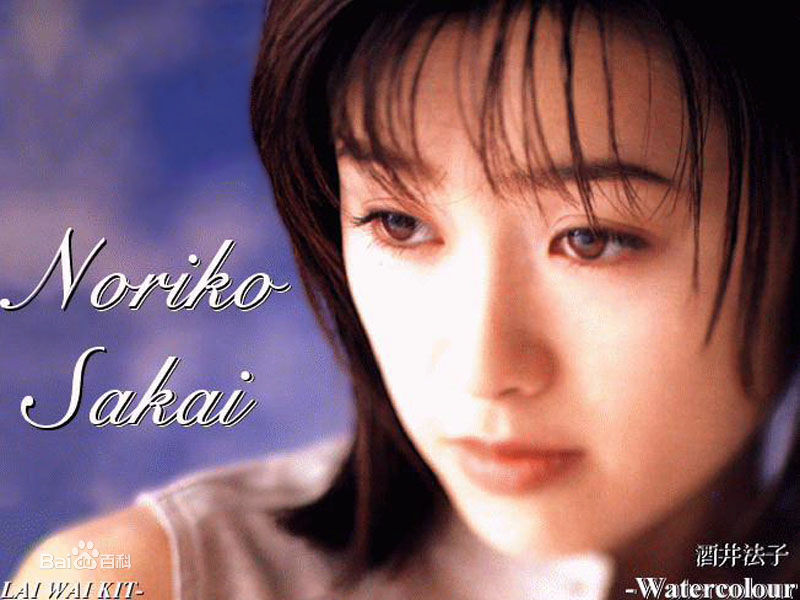 酒井法子(さかい のりこ)前后照片