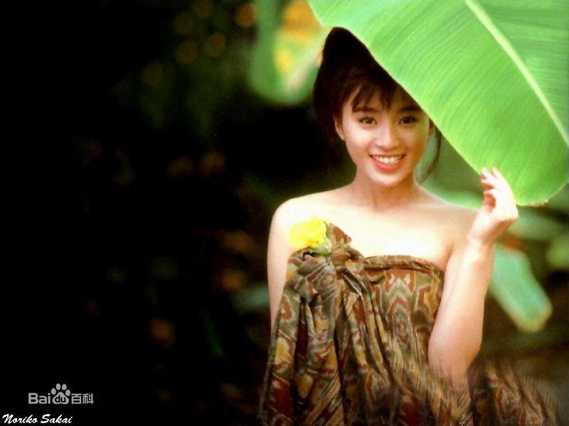 酒井法子(さかい のりこ)前后照片