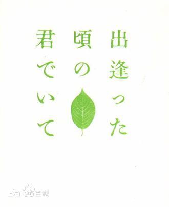 最优质酒井法子(さかい のりこ)生活照