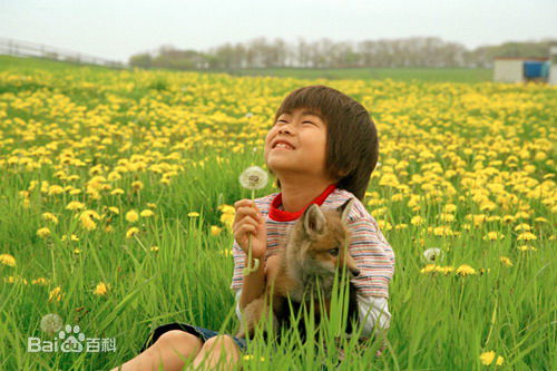 高清深泽岚(深澤 嵐 Arashi Fukasawa)图片