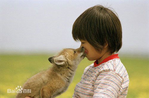 高清深泽岚(深澤 嵐 Arashi Fukasawa)图片