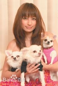 佐田真由美(まゆみん)最全壁纸