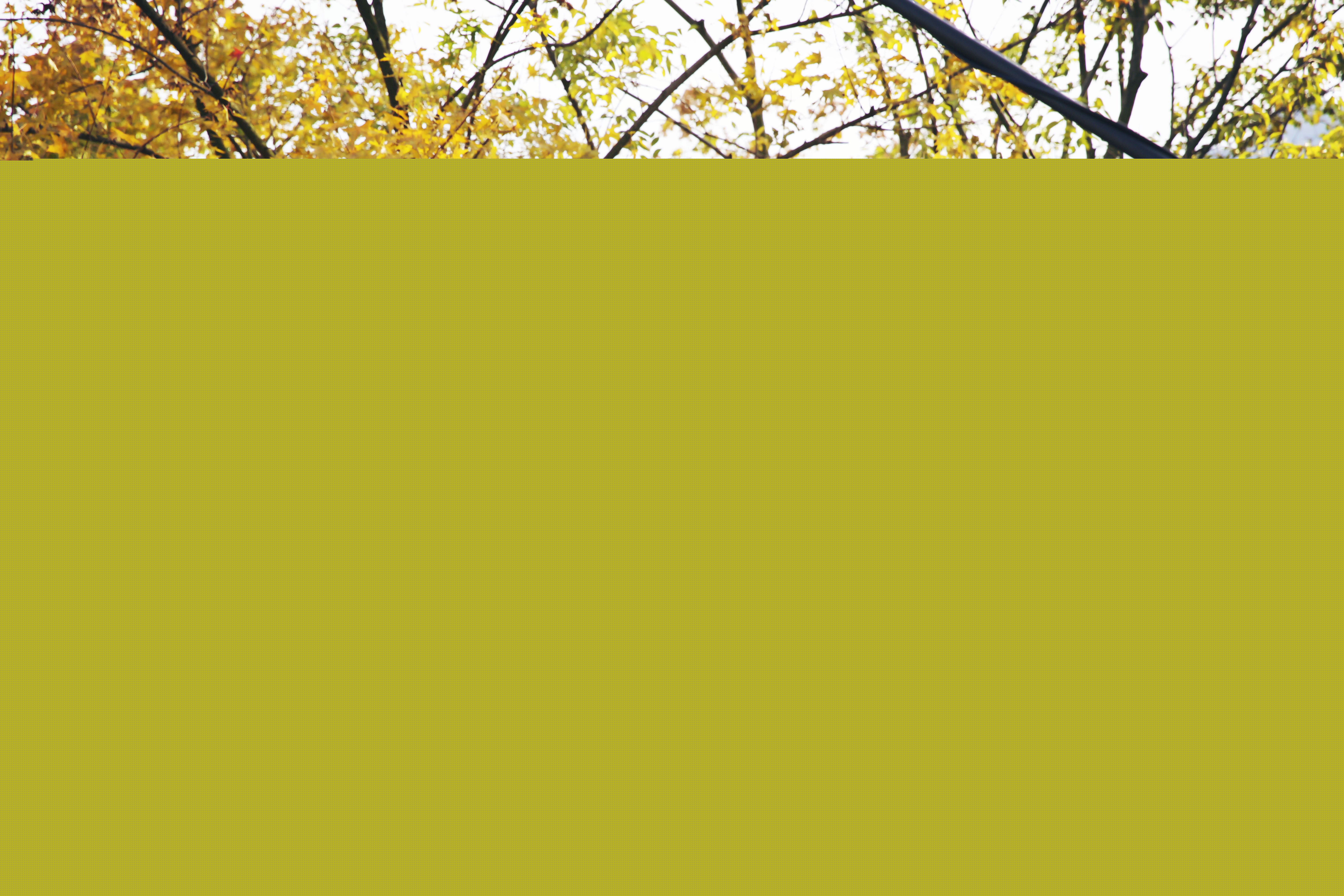 李丞峰(Chengfeng Li)现代戏最优质剧照